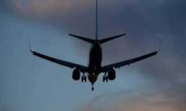 कैलिफोर्निया में प्लेन क्रैश में दो की मौत