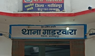 दो युवकों के विवाद में चली गाेली:एक घायल, आरोपी युवक गिरफ्तार; गाडरवारा थाने के कौडिया गांव का मामला