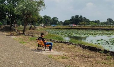 देवीजी मंदिर स्थित तालाब के टापू का सौंदर्यीकरण कार्य जारी:नवरात्रि के पहले काम पूरा करने का लक्ष्‍य, आकर्षक लाइटिंग के साथ लगेंगे फव्वारें