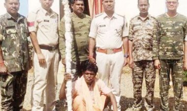 मक्का की आड़ में गांजा खेती, आरोपी बंदी