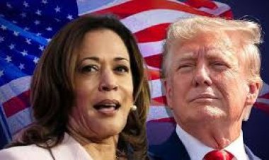 रचनात्मकता और उत्कृष्टता पर आधारित फैशन डिजाइन कोर्स से मैक में बढऩे का मिलेगा मौका