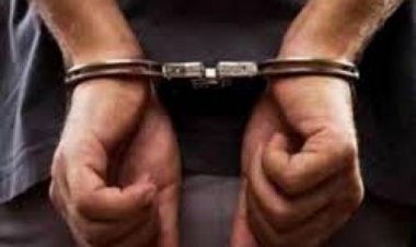 मानव तस्करी मुकदमे में गवाह ने कबूला: उसने 500 से अधिक भारतीय प्रवासियों को अमेरिका पहुंचाया