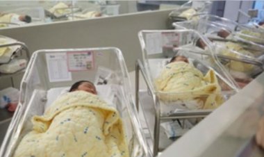 द लोकल बाजार में छाए स्टारशाइन के प्रोडक्ट्स