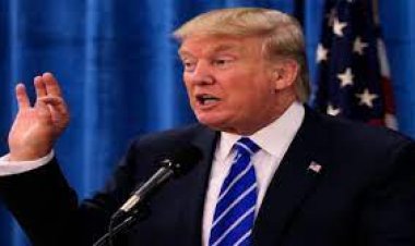 कनाडा की उपप्रधानमंत्री के इस्तीफ़े पर डोनाल्ड ट्रंप ने ली चुटकी