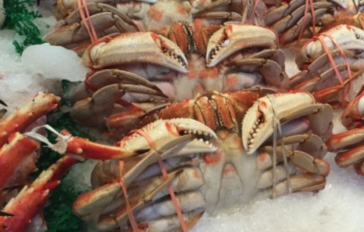 भारत का सीफूड निर्यात वित्त वर्ष 25 में अब तक 60,000 करोड़ रुपये से पार