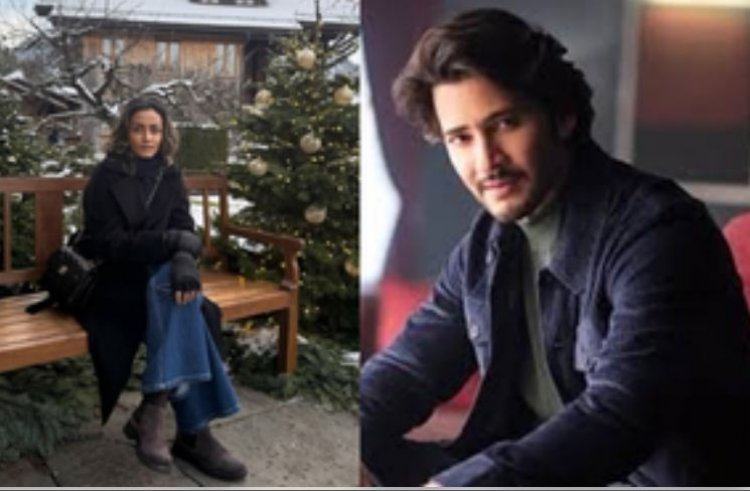 महेश बाबू ने किया पत्नी नम्रता शिरोडकर को बर्थडे विश, कहा- हर दिन को उज्जवल बनाने के लिए धन्यवाद