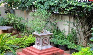 घर की इस दिशा में लगा दें ये 5 पौधे, फिर देखें कैसे बदलता है आपका नसीब
