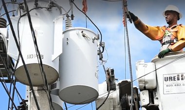 सरकारी नौकरी:पंजाब स्टेट पावर कॉर्पोरेशन में 2500 पदों पर भर्ती का नोटिस जारी; एज लिमिट 37 साल, 10वीं पास करें अप्लाई