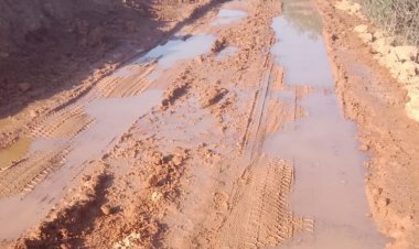 चंदोखा में मिट्टी से रेत बनाने से सड़क दलदल बनी:मवेशियों की मौत, टीकमगढ़ में नियमों की अनदेखी कर मिट्टी से रेत बना रहा एम-सैंड प्लांट