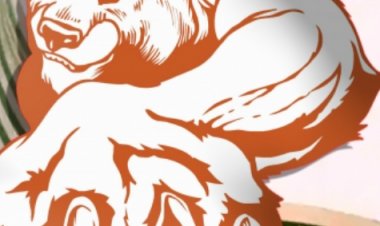 भारत की शीर्ष 10 में से 8 कंपनियों का मार्केट कैप 1.65 लाख करोड़ रुपये घटा, टीसीएस को हुआ सबसे अधिक नुकसान