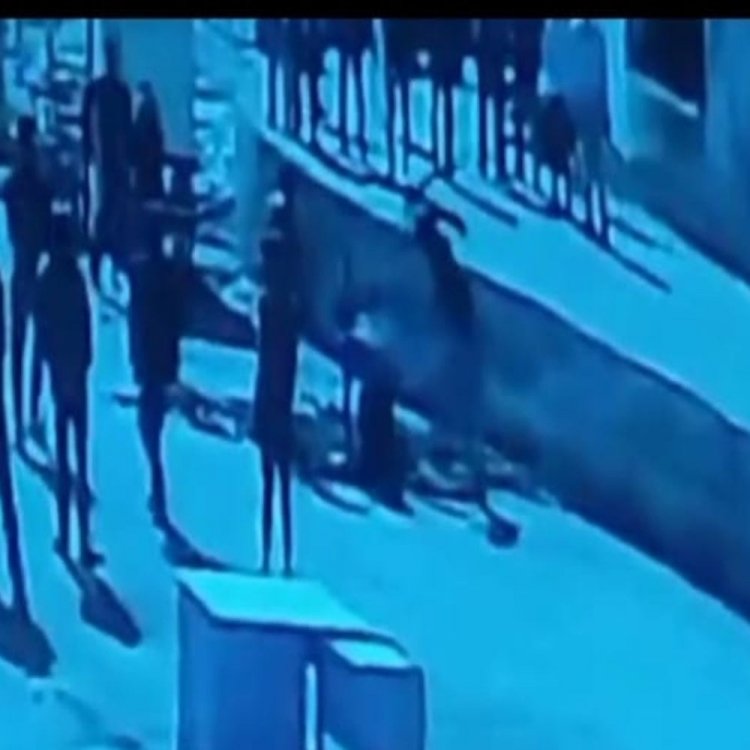 सूदखोर के गुंडों ने सरिए से किए 41 वार...VIDEO:30 हजार के ब्याज सहित 40 हजार लौटा चुका था घायल; परिजनों ने की एसपी से शिकायत