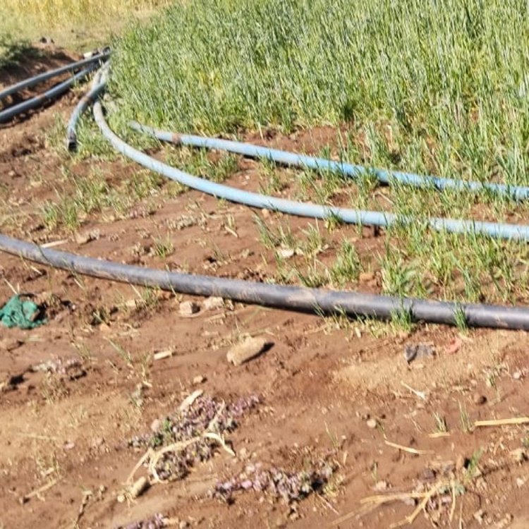 धार में बढ़ सकता है पेयजल संकट:तालाबों से अवैध पाइपलाइन बिछाकर हो रही पानी की चोरी, नपा ने पुलिस से मांगी मदद