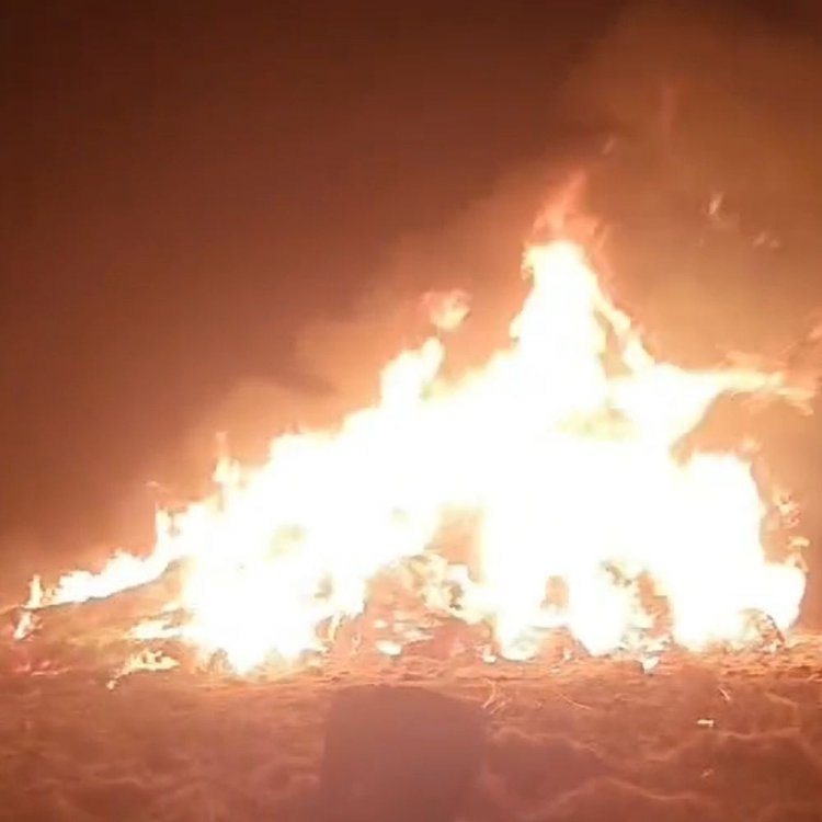 जमीनी विवाद में किसान की फसल को लगाई आग:सीमांकन के बाद पहली बार बोई थी सरसों-मसूर, 3 लाख का नुकसान